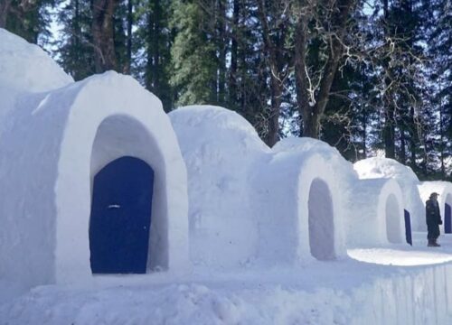 Manali-igloo-stay_trinity